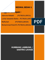 Kumbah Lambung