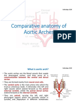 SUBHADIPA - MAJUMDERComparative Account of Aortic Arch2020!04!03Aortic Arch Comparative PDF