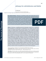 Central Efferent Pathways For Cold-Defensive and Febrile Shivering