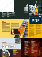 India Steel 2019 Brochure
