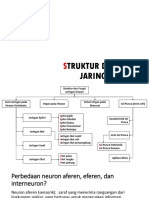 Struktur Dan Fungsi Jaringan Hewan