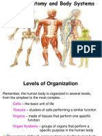 Human Systems