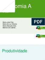 1 Produtividade