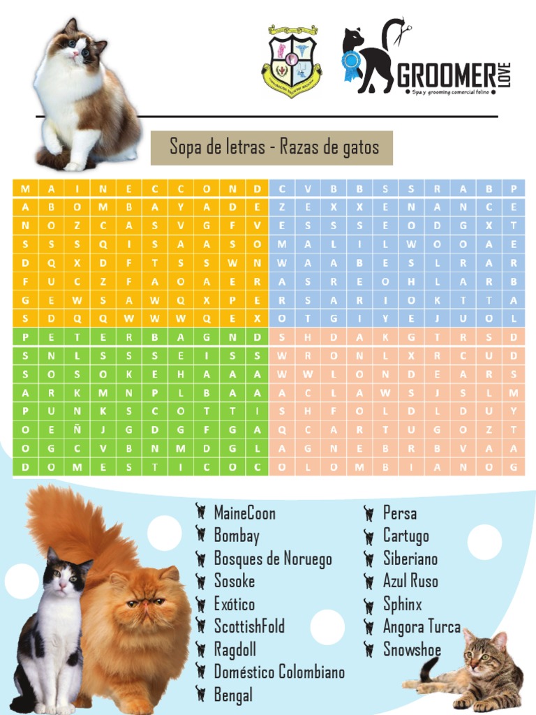 Ejercicio de Introducción Al Grooming Felino Sopa de Letras | PDF