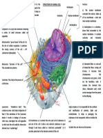 Animal Cell Mind Map