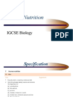 Animal Nutrition: IGCSE Biology