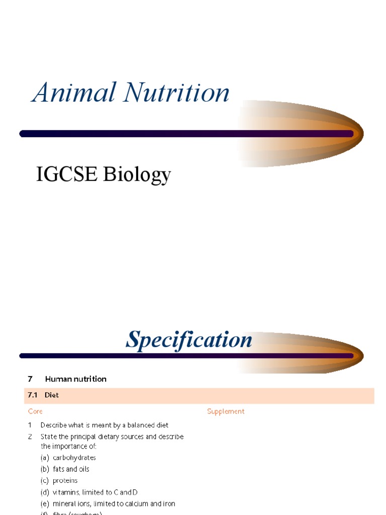 Animal Nutrition IGCSE Biology PDF Nutrients Carbohydrates