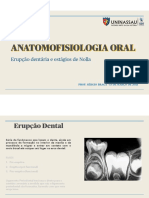 ANATOMOFISIOLOGIA ORAL - Erupção Dentária e Estágios de Nolla
