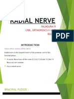 Radial Nerve: Rajadurai R Crri, Orthopedics Ii Unit RGGGH