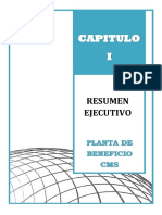 Capitulo 1 - Resumen Ejecutivo