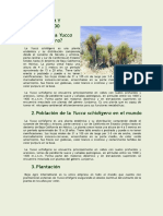 2. Población de la Yucca schidigera en el mundo - PDF Descargar libre
