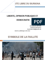 Liberte Opinion Publique Et Democratie 1