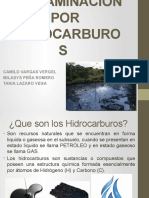 Expo Politica Hidrocarburos 2