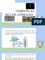 Características animales y clasificación