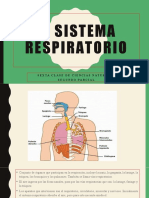 El Sistema Respiratorio