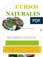 DERECHO AMBIENTAL - CLASE No.2 RECURSOS NATURALES