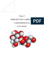 Tema 5 Biologia