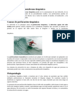 Perforación membrana timpánica: causas, síntomas y tratamiento