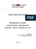 Teză de Licență TI