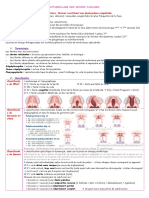 Appareillage Des Fentes Faciales