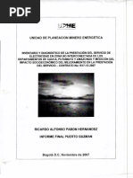 Informe Final Puerto Guzman