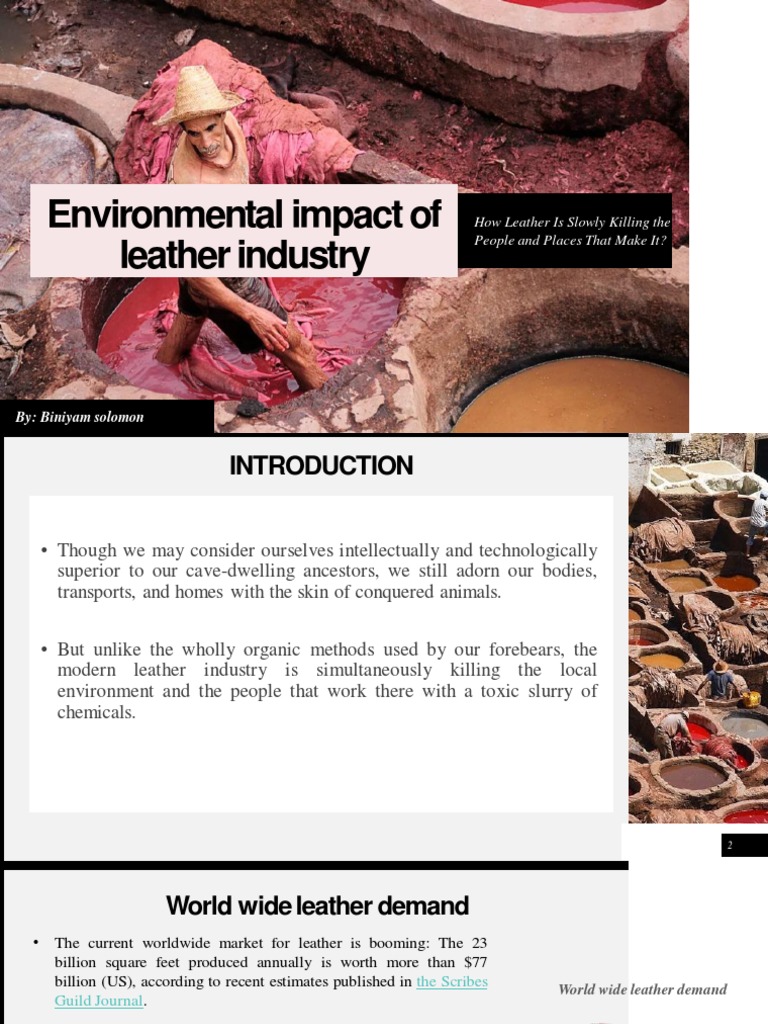Environmental Impact of Leather Industry PDF Leather Chromium