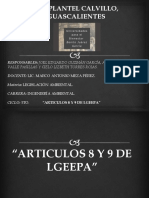 Articulos de La Lgeepa