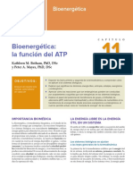 Capítulo 11_Bioenergética_La Función Del ATP