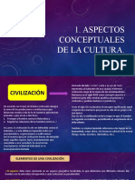 Aspectos Conceptuales de La Cultura.