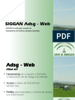 Adsg Web Nueva