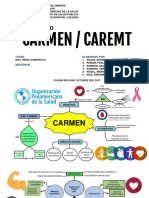 PROYECTO CARMEN - CAREMT