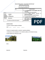 Prueba Diagnóstico de Matemática