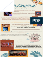 ANEMONA Infographics