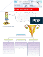 Ciclo menstrual: etapas y órganos reproductores