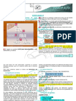 FSP r1-t8d Ácido-Base IV