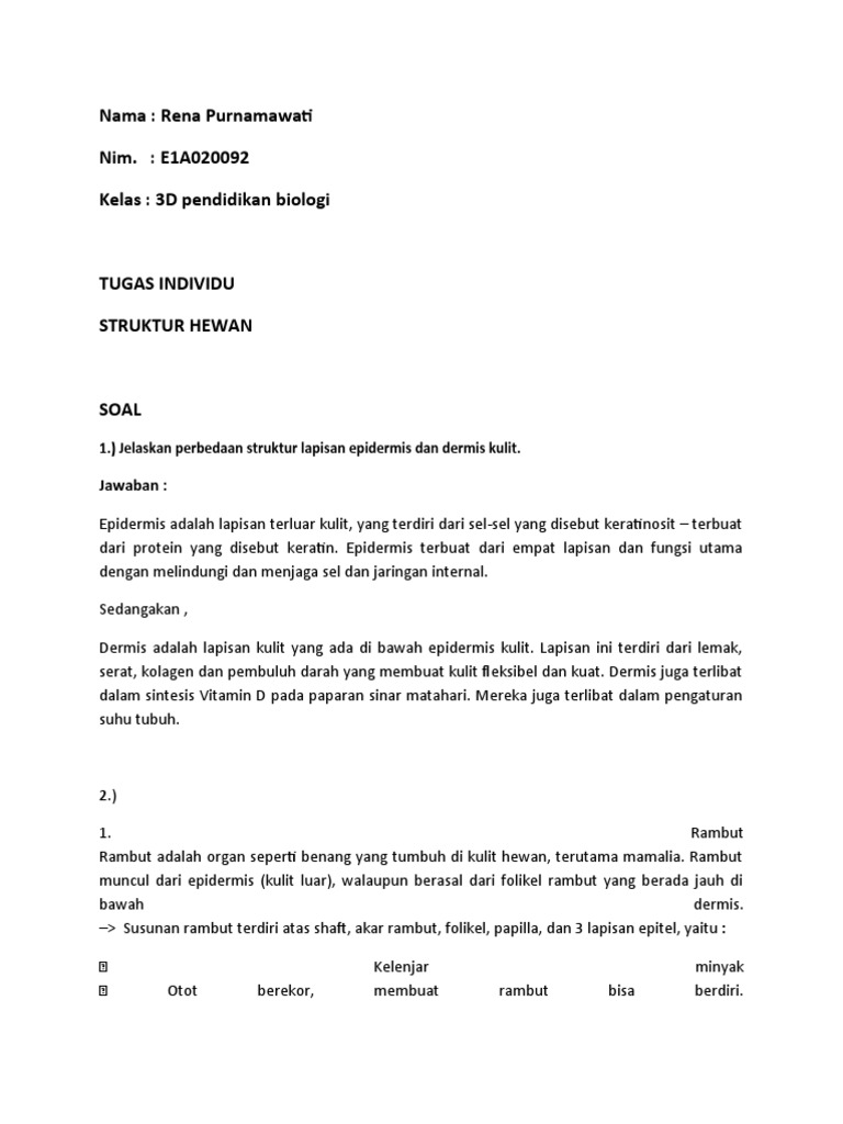 Rena Purnamawati - E1a020092 - Tugas Struktur Hewan | PDF | Kesehatan ...