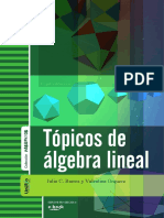 Algebra Lineal ,Topicos