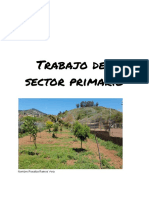 Trabajo de Sector Primario (Recuperado)