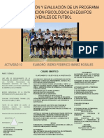 Diseño, Aplicación y Evaluación de Un Programa de Intervención Psicológica en Equipos Juveniles de Futbol