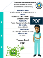 Historia Natural de La Enfermedad y Teoria de Las 14 Necesidades-Paola Salas-2019-122032