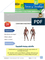 2ºGRADO-CIENCIA, TECNOLOGÍA Y CULTURA AMBIENTAL-S5-Los Músculos