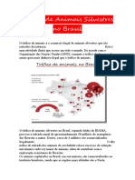 Tráfico de Animais Silvestres No Brasil