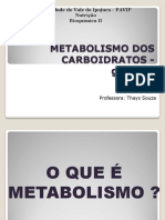 Aula 4_metabolismo Dos Carboidratos