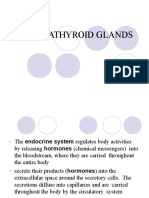 Para Thyroid Glands