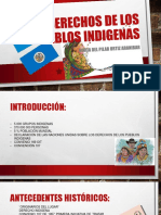 Derechos de Los Pueblos Indigenas