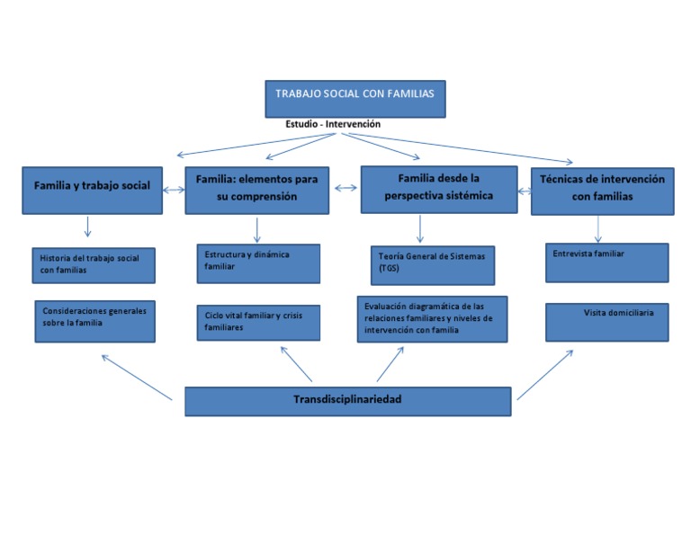 5 Mapa Conceptual Trabajo Social Con Familias | PDF