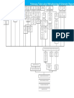PTB Pathophysiology
