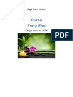 14. Curso Feng Shui (Portugués) Autor Cursos Online SP