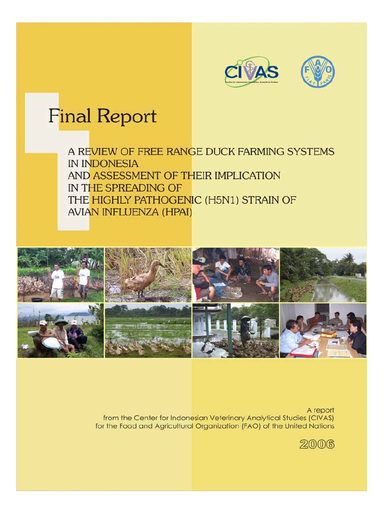A Review of Free Range Duck Farming Systems in Indonesia | PDF | Avian