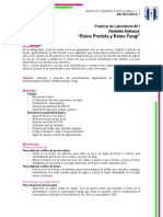 Practica de Laboratorio 11